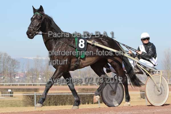 Pacha de Ry B A 1 prot